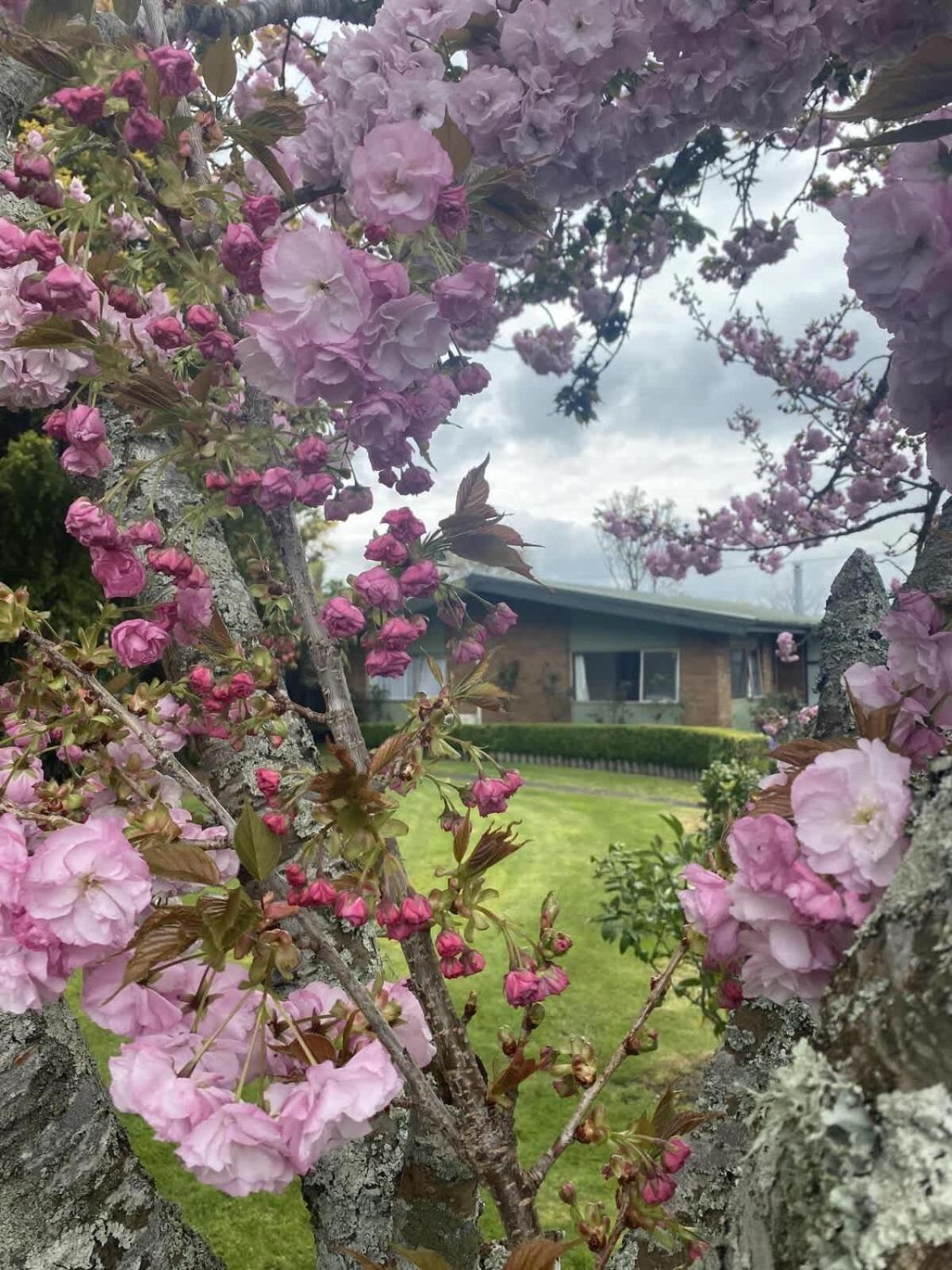 Roselake Retreat Rotorua Exterior foto